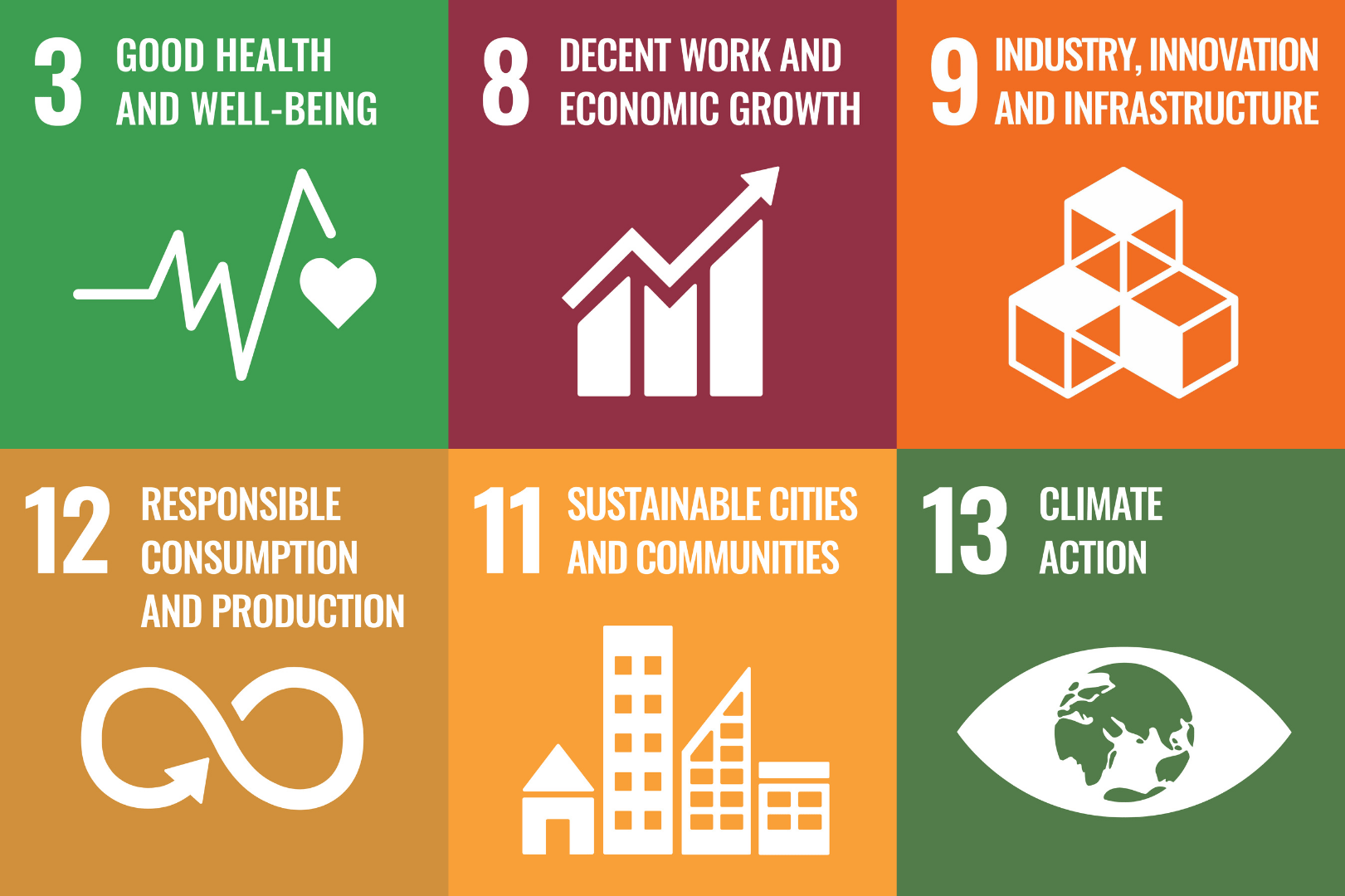 This project contributed to the UN Sustainable Development Goals