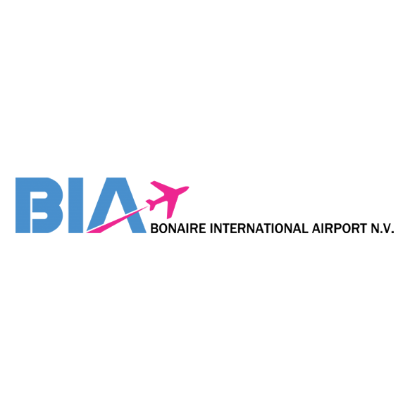BIA airport RCR tool