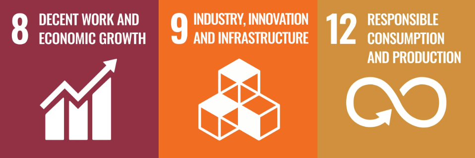 Rotterdam the Hague Airport Sustainable Development Goals